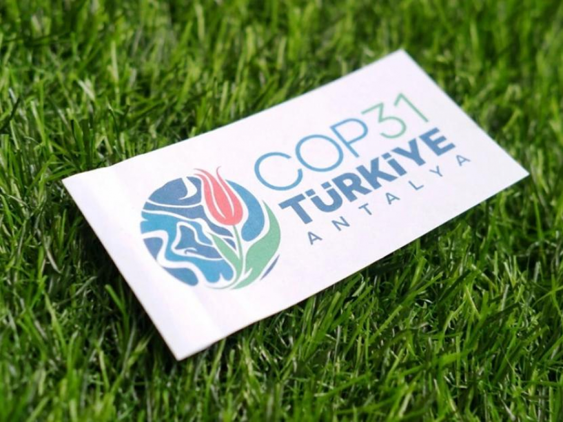 COP31為何把教育列為主題日？企業年底盤點永續成果，這3件事不能漏
